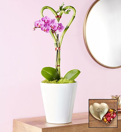 Sweetheart Bamboo and Orchid Garden